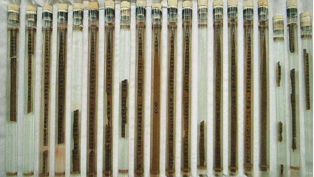 有點(diǎn)兒意思！古代保密智慧超乎你的想象！